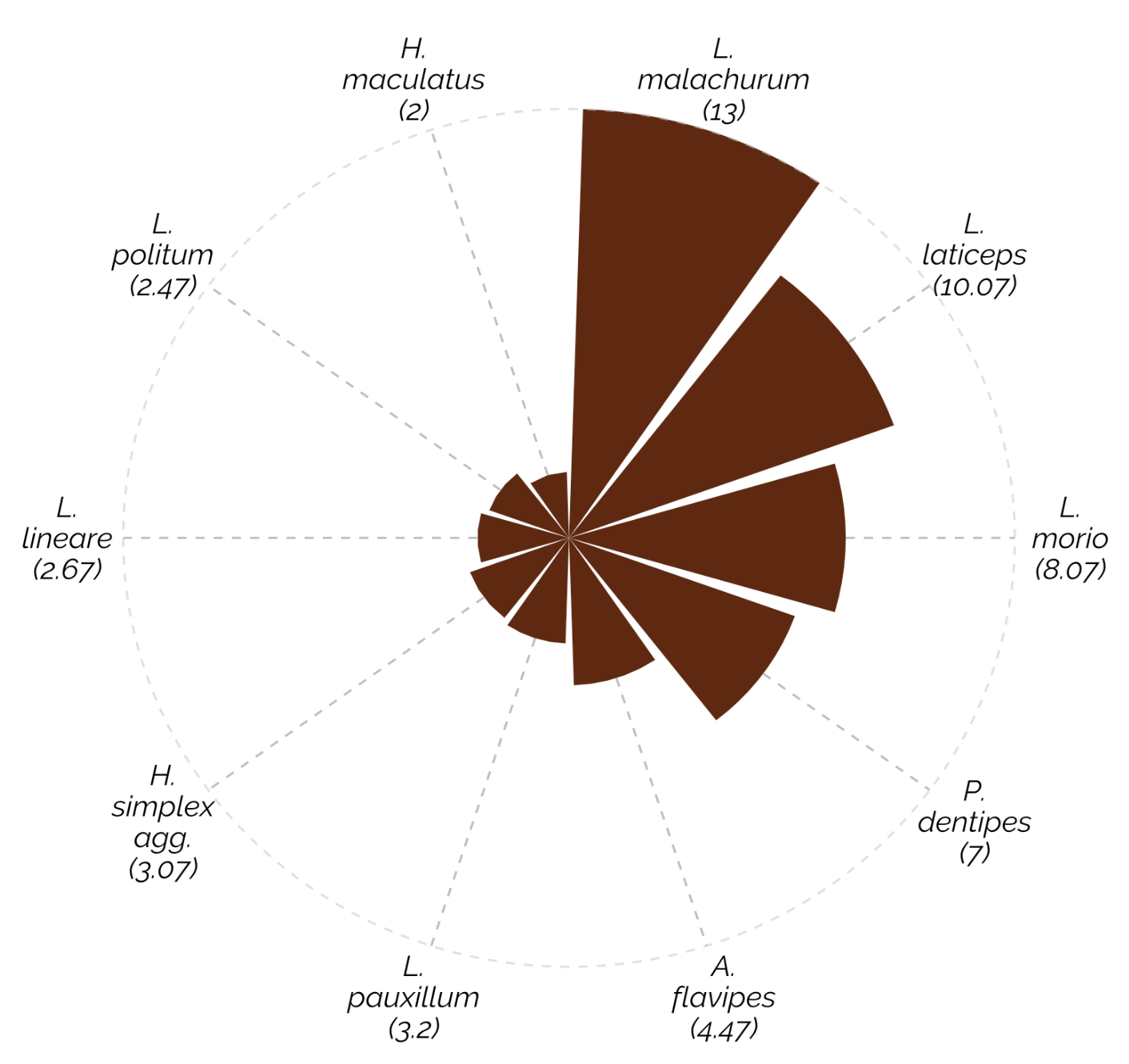 Circular bar chart showing top 10 species and their average counts recorded at vertically oriented vineyard sites. All top 10 species were below ground nesting bee species.